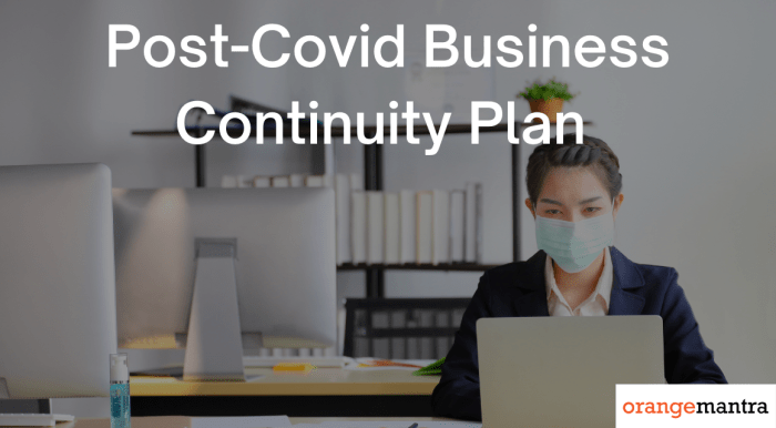 Why You a Need Business Continuity Plan for Post-COVID Market