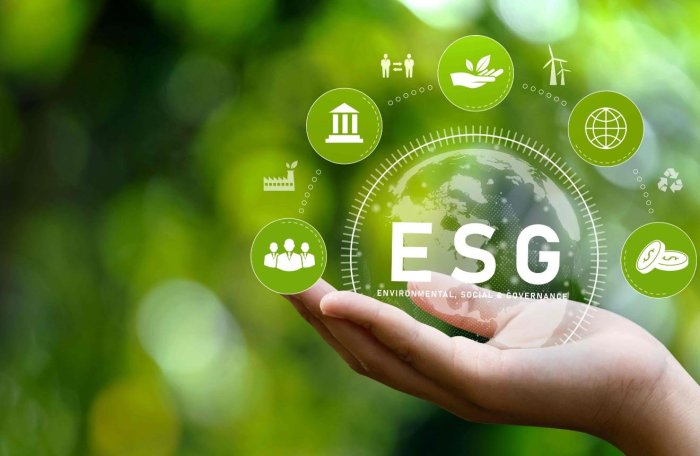 Environmental, Social, and Governance: What Is ESG and Why Is It Important?